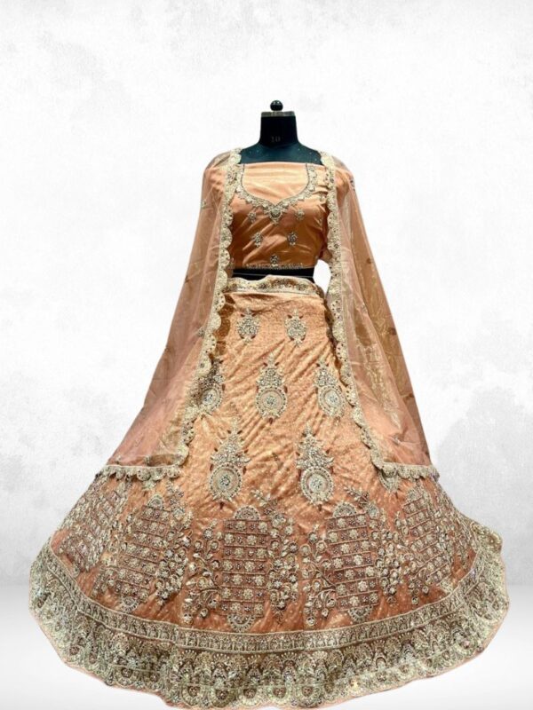 Wardrobes Peach Net Lehenga with Jarkan